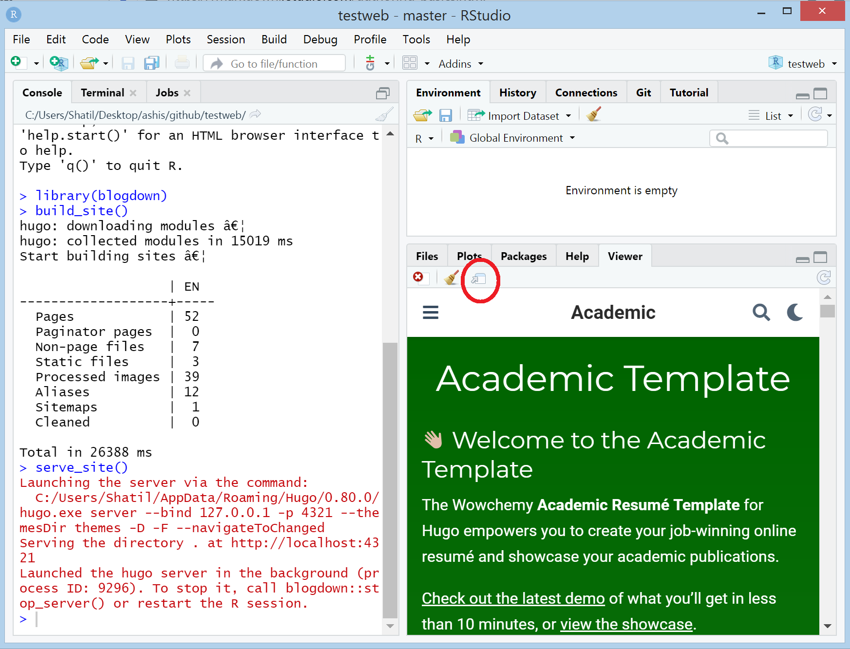 Sample website view in RStudio