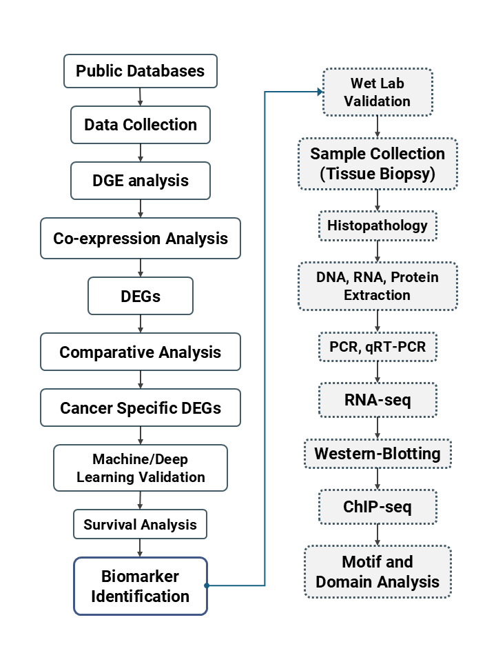 Project design: dry-lab discovery pipeline feeding into wet-lab validation
