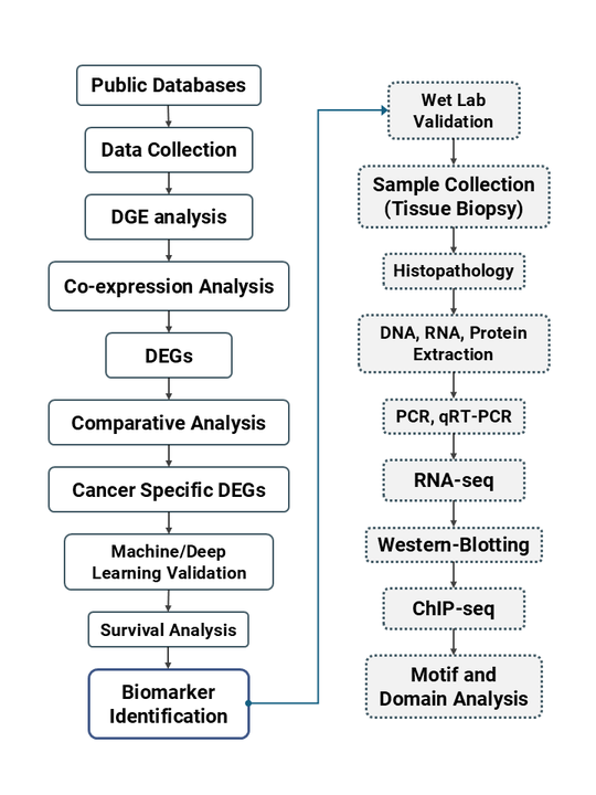 Cancer-Specific Biomarkers across Multiple Carcinomas
