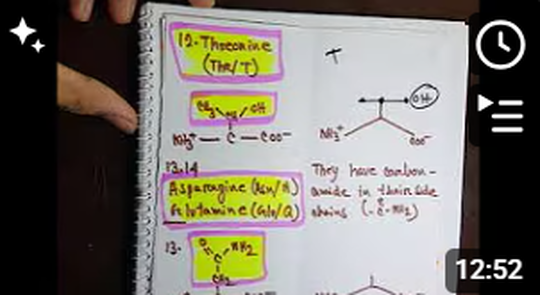 Amino Acids