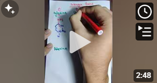 Nucleotide base